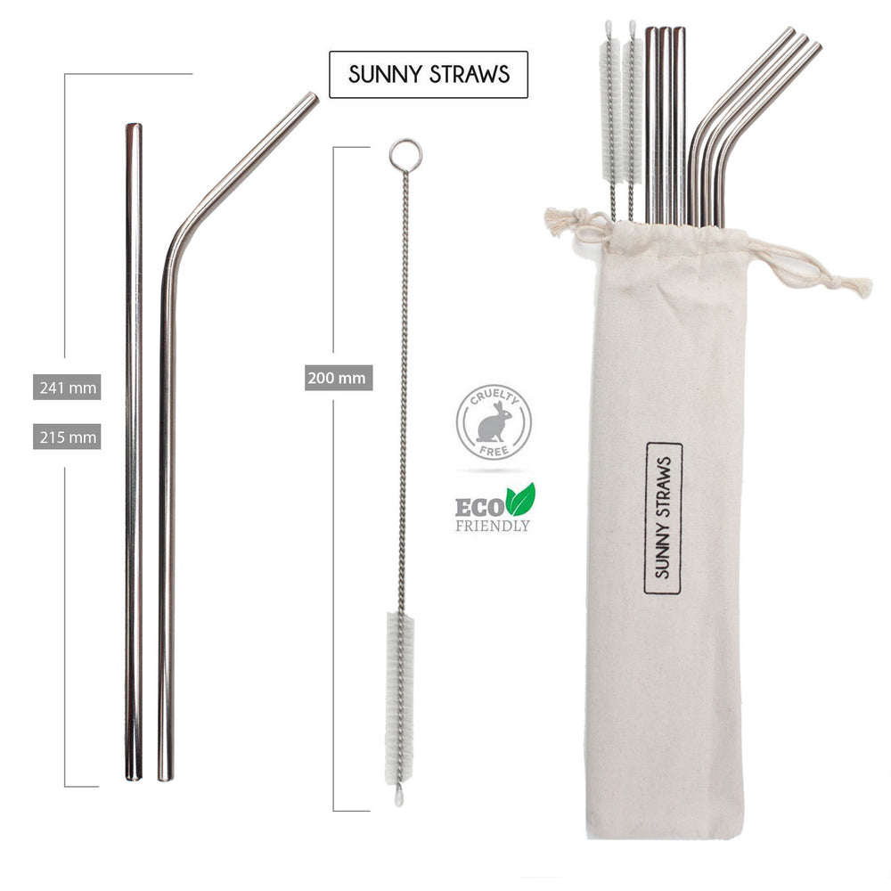 Silver Straight and Bent Straw Set (6) with Brushes (2)